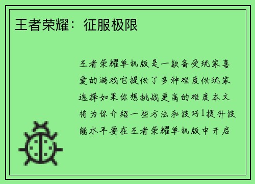 王者荣耀：征服极限